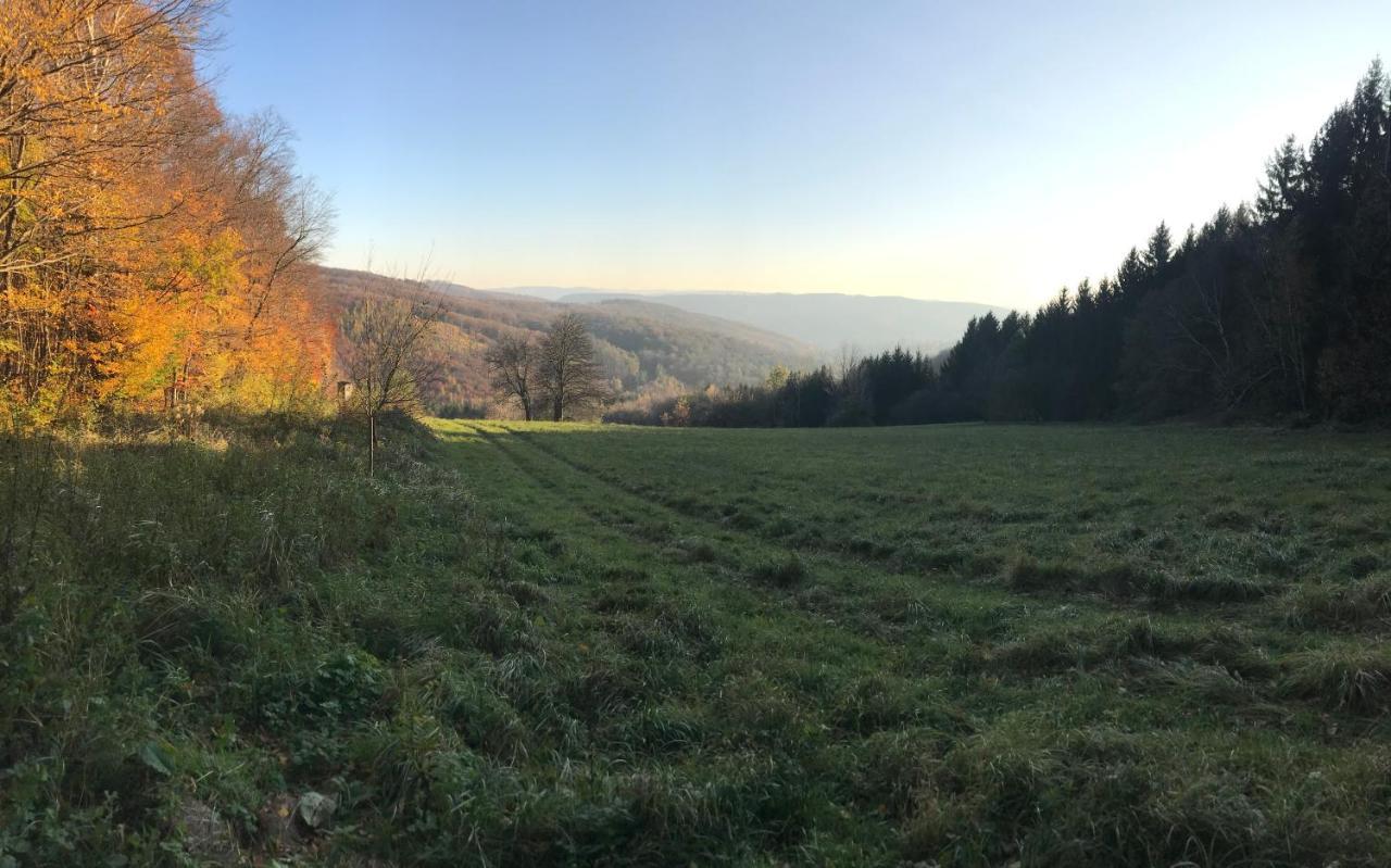 Haus-Iris-Mauerbach Villa Kültér fotó