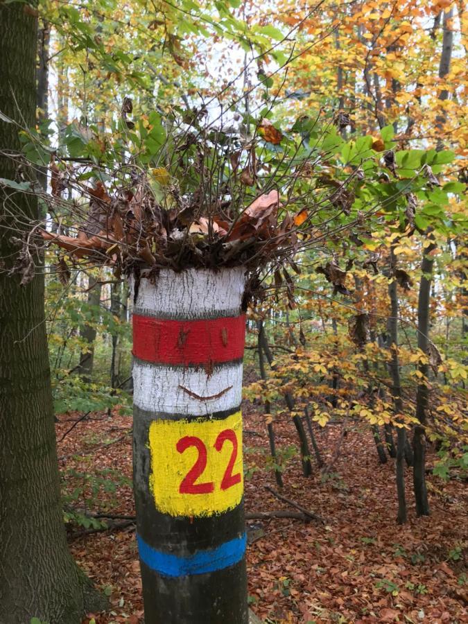 Haus-Iris-Mauerbach Villa Kültér fotó